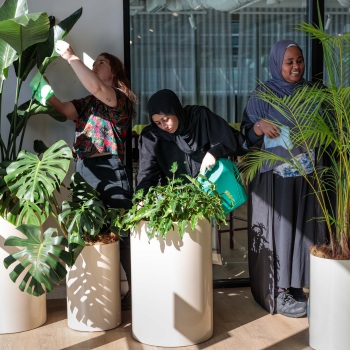 Three women caring for a row of potted indoor plants, one watering with a green watering can, in a bright office space.